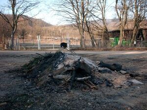 Feuer am Opel-Zoo